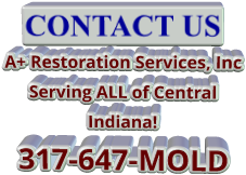 CONTACT US A+ Restoration Services, Inc Serving ALL of Central Indiana! 317-647-MOLD